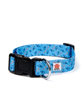 Saltrock Paw Print Dog Collar Blue