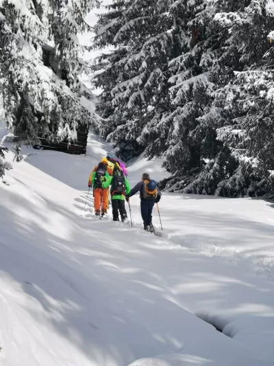 GoodBoards GB Split Nose Rocker 165 W Splitboard