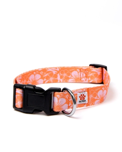 Saltrock Hibiscus Dog Collar Orange