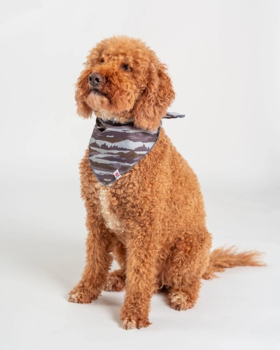 Зелена бандана за домашни любимци Saltrock Camo Stripe