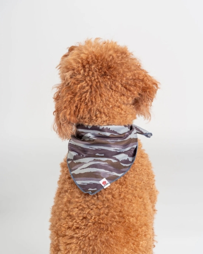 Зелена бандана за домашни любимци Saltrock Camo Stripe