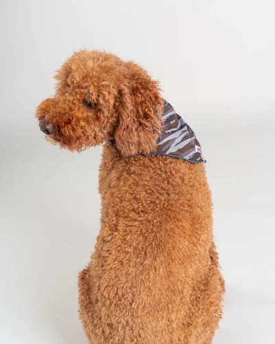 Зелена бандана за домашни любимци Saltrock Camo Stripe