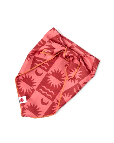 Saltrock Equinox Hundebandana Orange